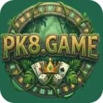 PK8 Game Download